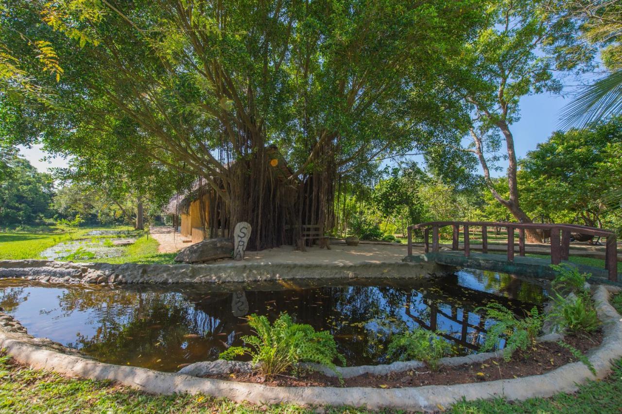 Kalu's Hideaway Udawalawe