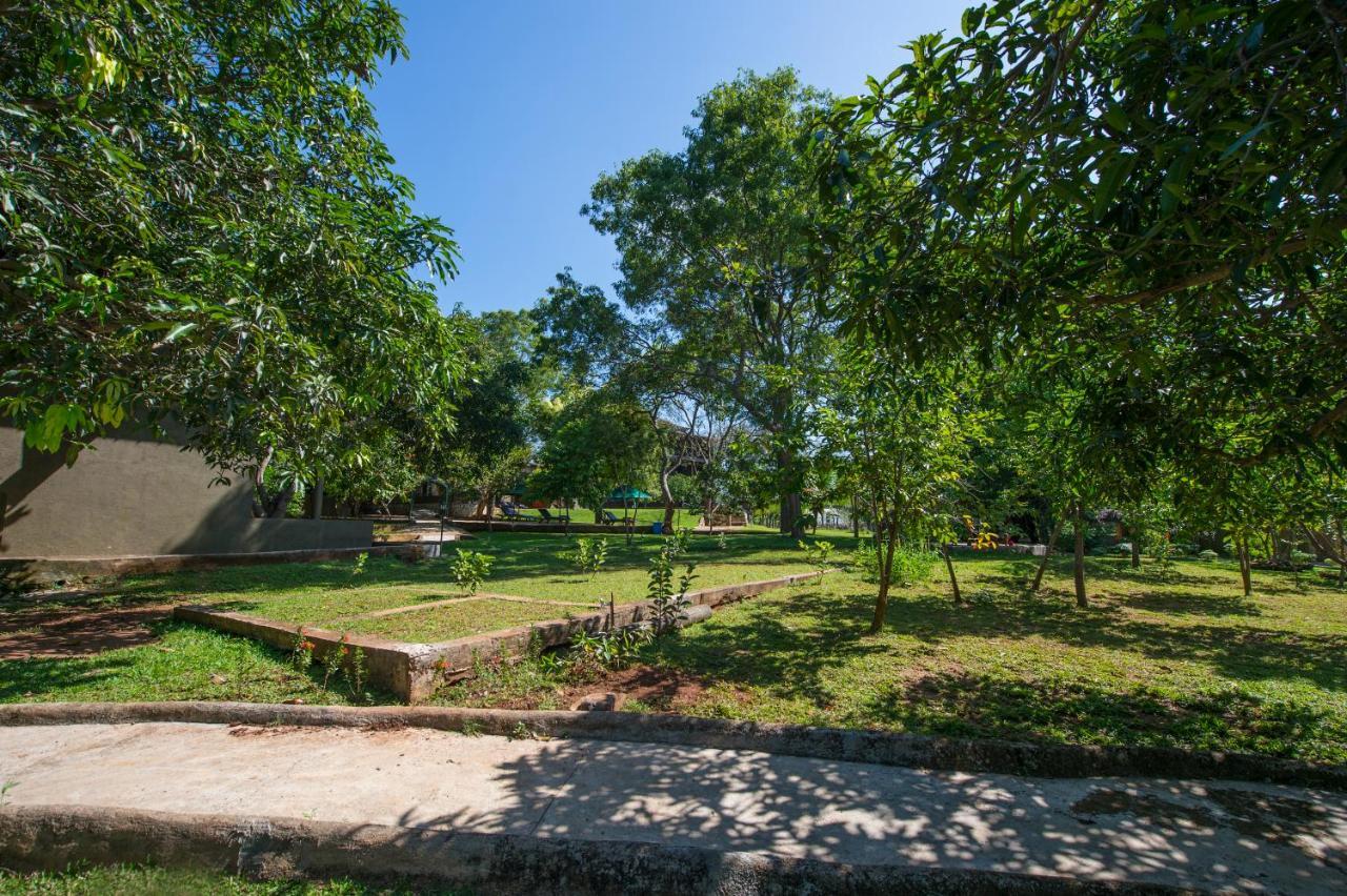 Kalu's Hideaway Hotel Udawalawe